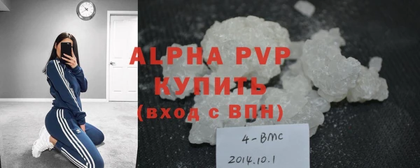 стафф Коряжма