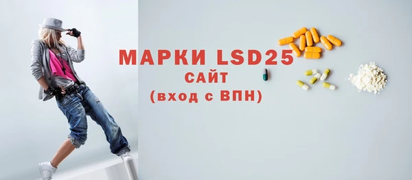 прущие грибы Корсаков