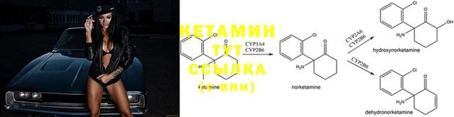 мяу мяу мука Козельск