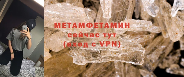 прущие грибы Корсаков