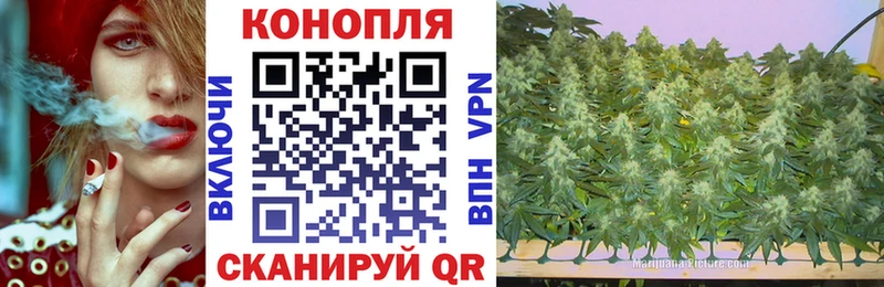 Канабис семена как найти наркотики Красновишерск